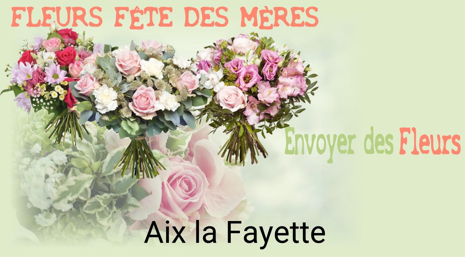 Bouquet de Fête des Mères livré à Aix-la-Fayette