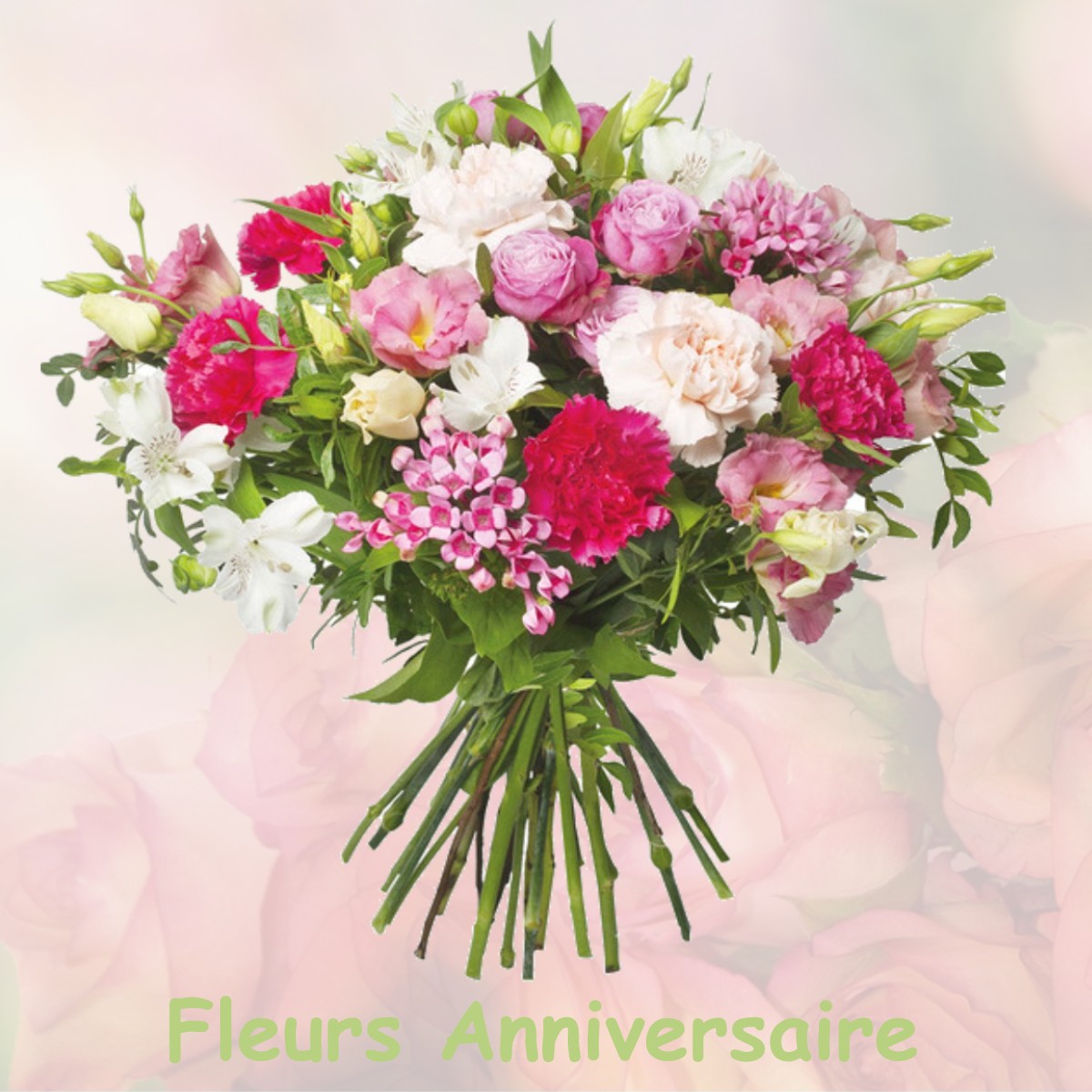 fleurs anniversaire AIX-LA-FAYETTE